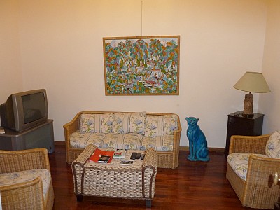 TV room, seen from another angle